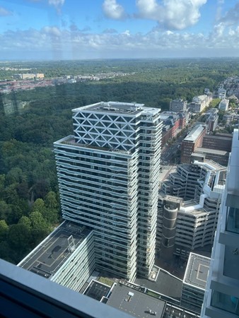 Medium property photo - Anna van Buerenplein 267, 2595 DE Den Haag